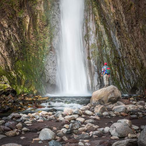 Photo #12801894