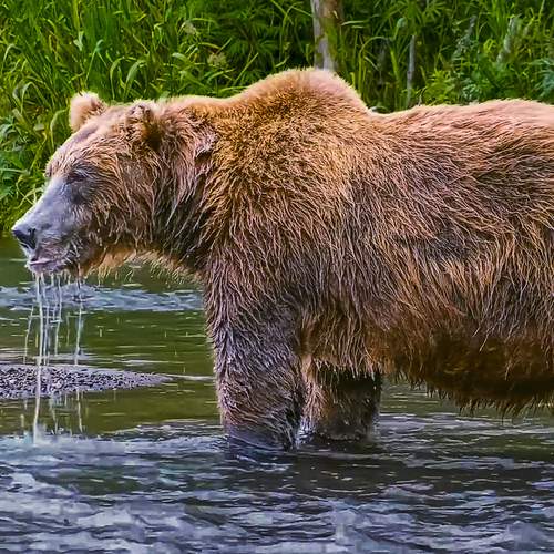 Photo #12802042