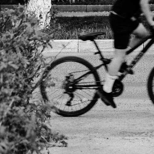 Photo #12802372
