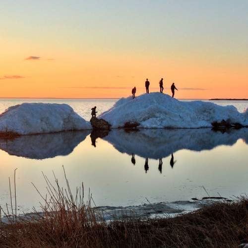 Photo #12802438