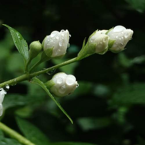 Photo #12802604