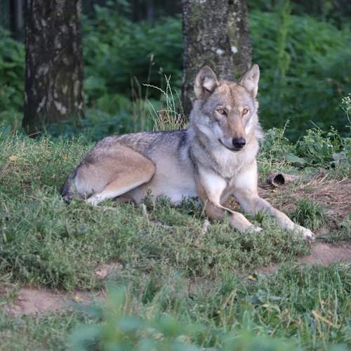 Photo #12802648