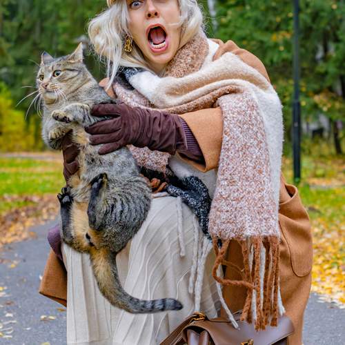 Photo #12802796