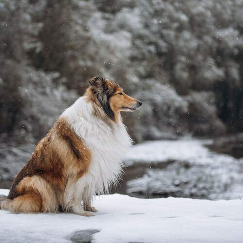 Фотография #12803099