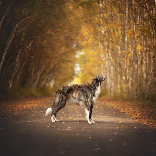 Фотография #12803124