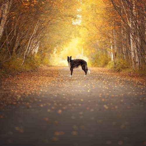 Фотография #12803156