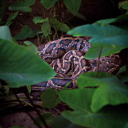 Photo #12803179