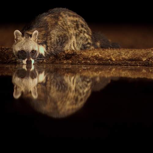 Photo #12803345