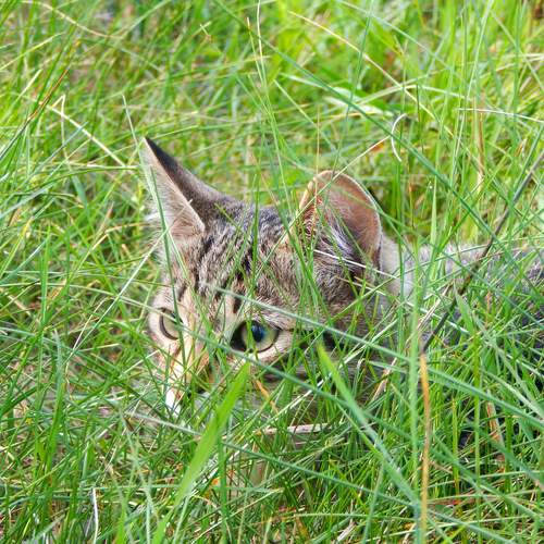 Photo #12803635