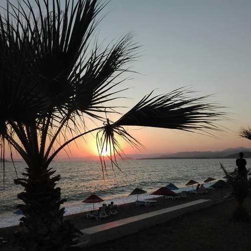 Photo #12803669