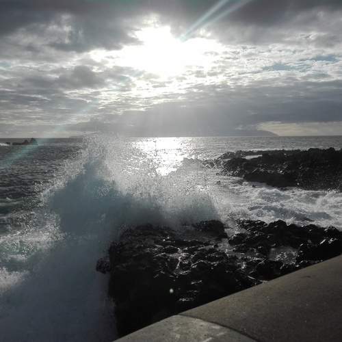 Photo #12803674