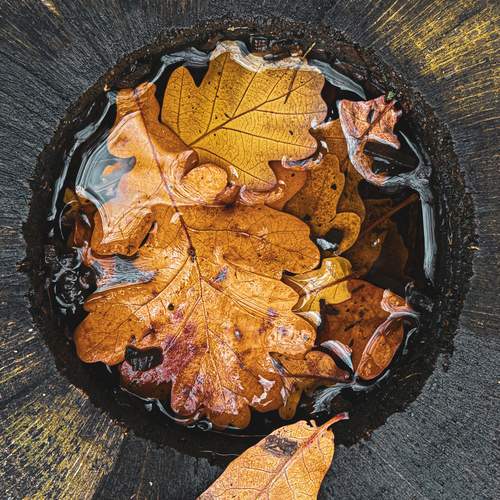 Photo #12803700