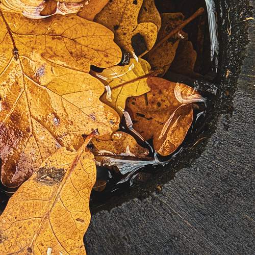 Photo #12803702
