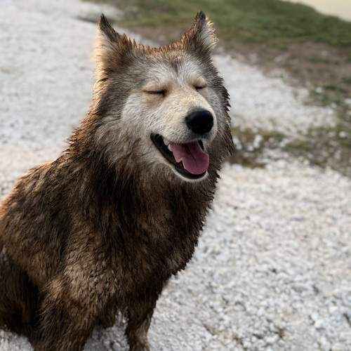 Photo #12803735