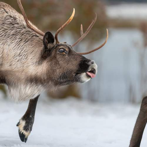 Photo #12803884