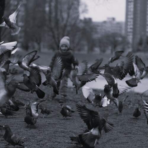 Photo #12803920