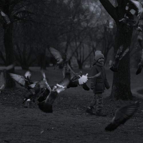 Photo #12803921