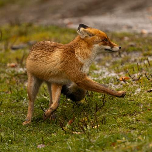 Photo #12803947