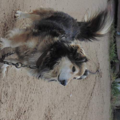Photo #12804020