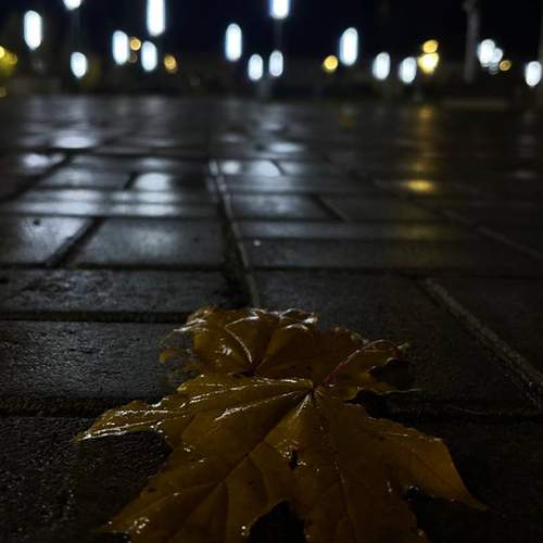 Photo #12804327