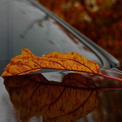Photo #12804329