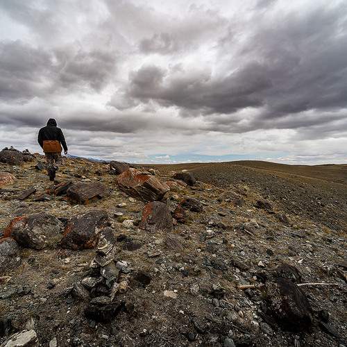 Photo #12804506