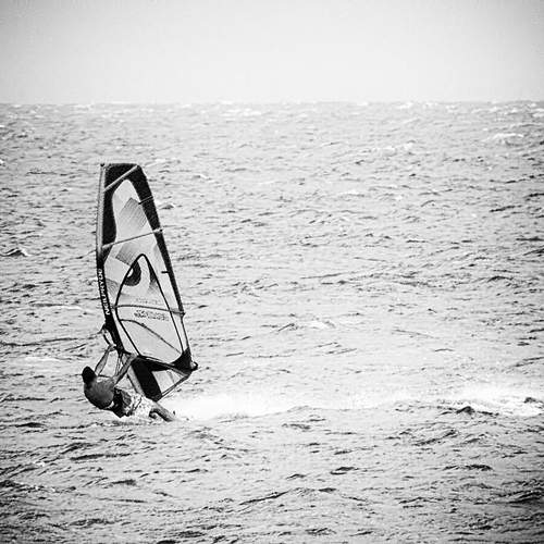 Photo #12804715