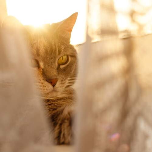 Photo #12804719