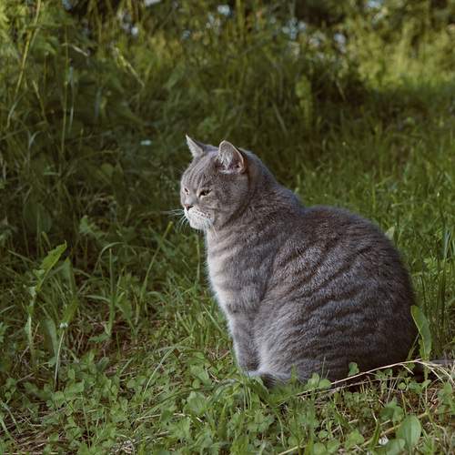 Photo #12804729
