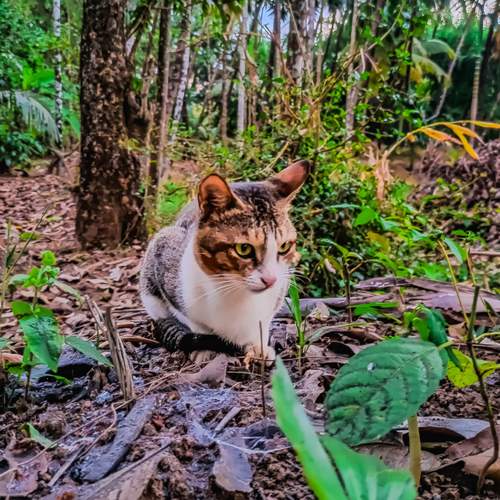 Photo #12804769