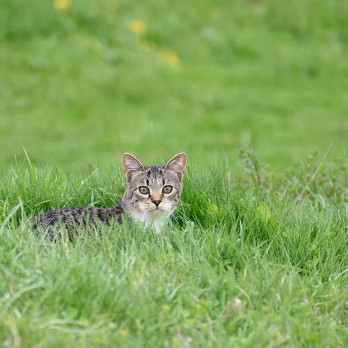 Photo #12804806