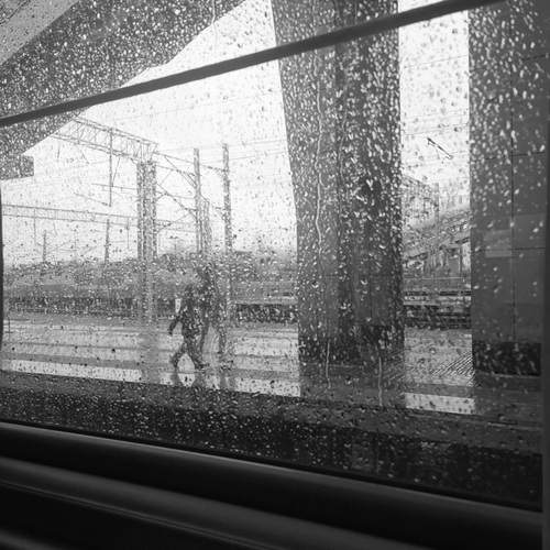 Photo #12804884