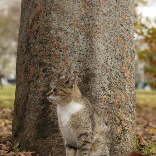 Photo #12805059