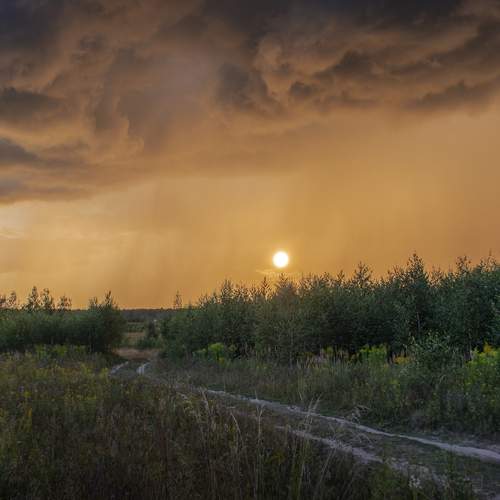 Photo #12805098
