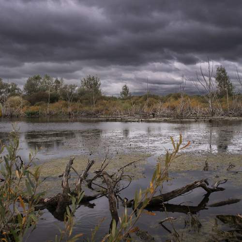 Photo #12805103