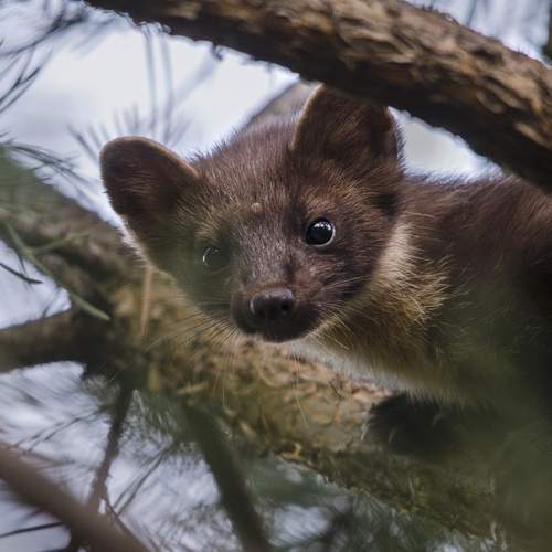 Photo #12805109