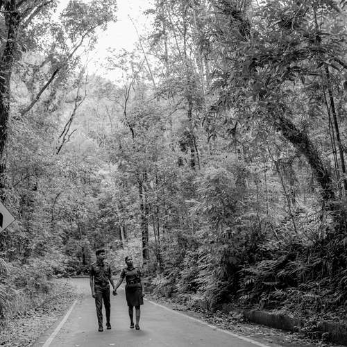 Photo #12805175