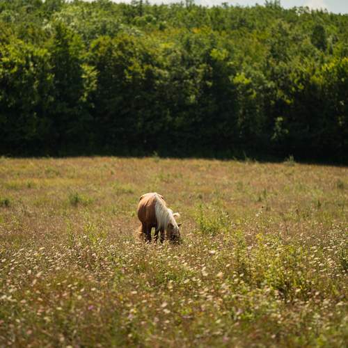 Photo #12805207