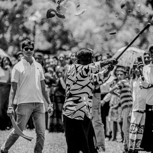 Photo #12805223