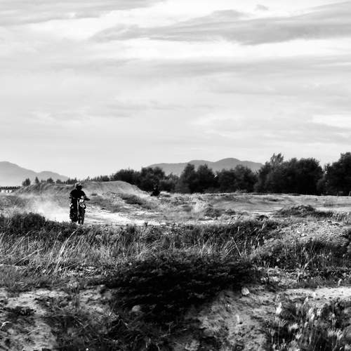 Motor sport in the wild