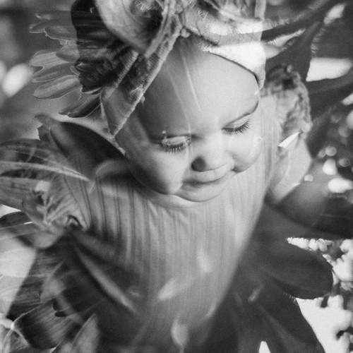 Photo #12805277