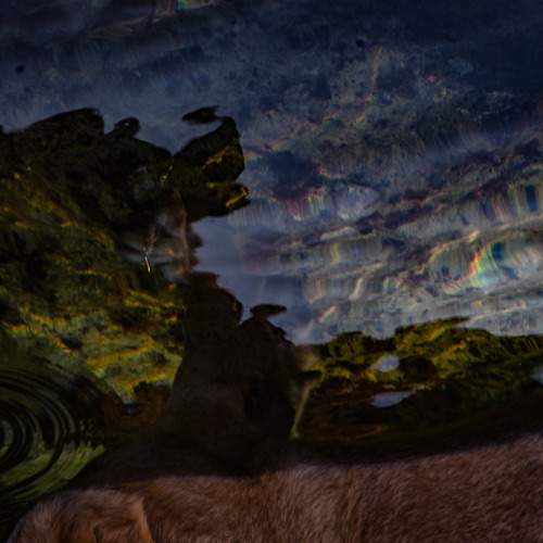Photo #12805288