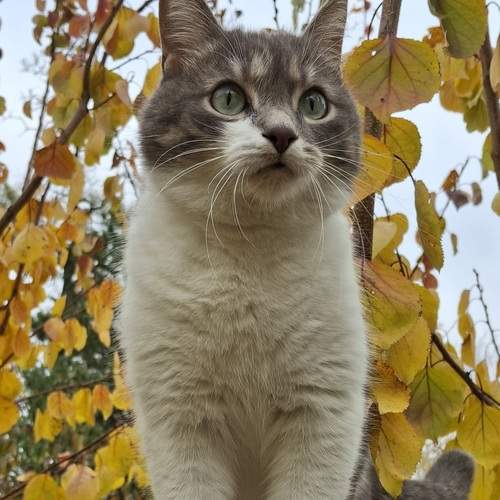 Photo #12805292