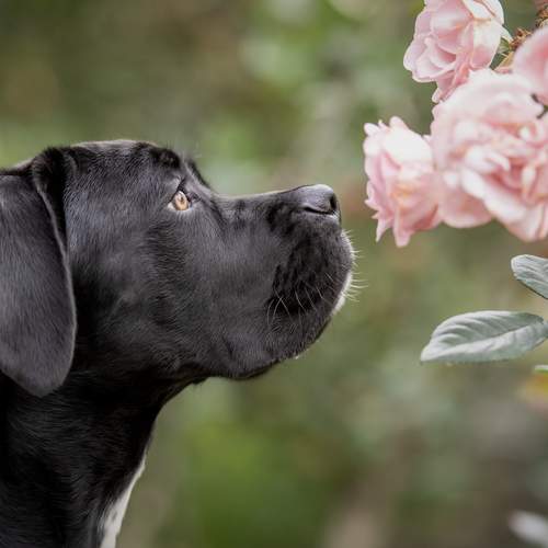 Фотография #12805301