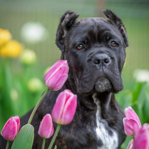 Фотография #12805302