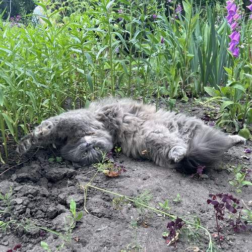 Photo #12805303