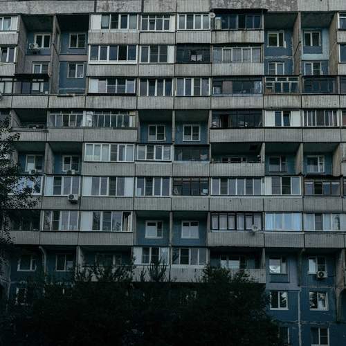 Photo #12805478