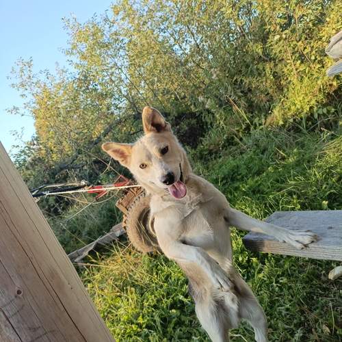 Photo #12805853