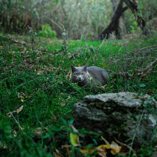 Photo #12805857