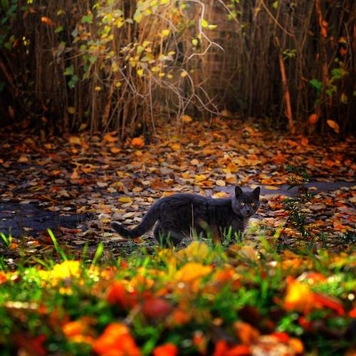 Photo #12805859
